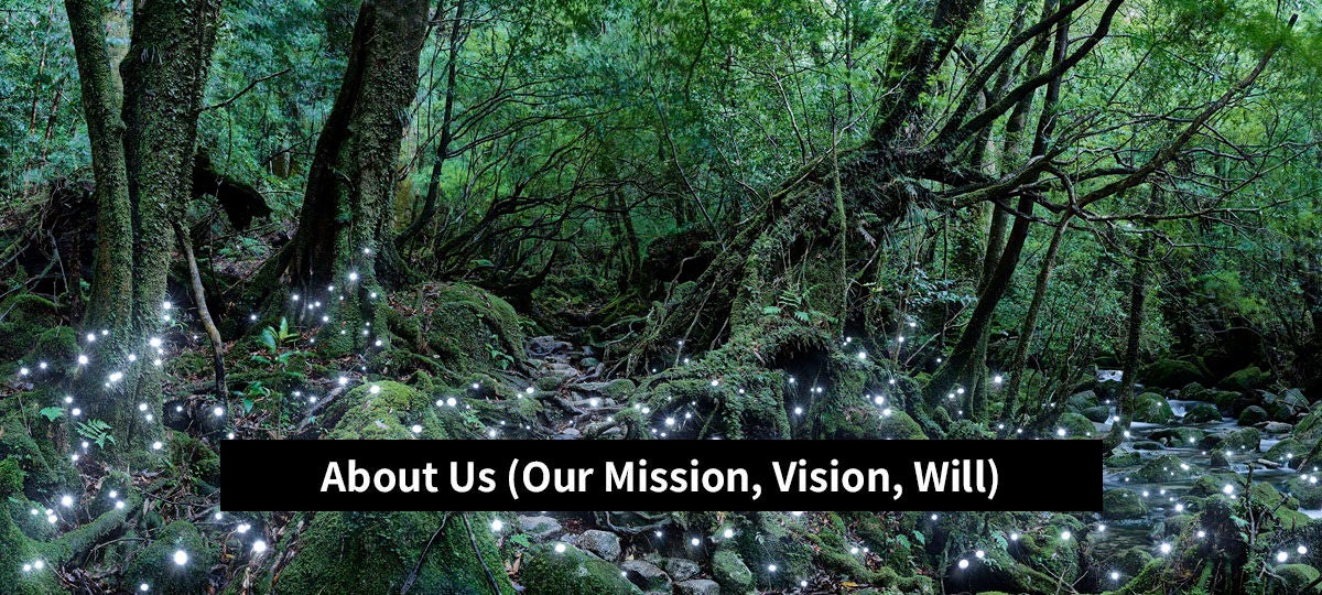 About Us (Our Mission, Vision, Will)